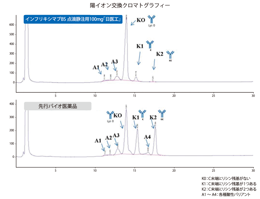 翻訳後修飾