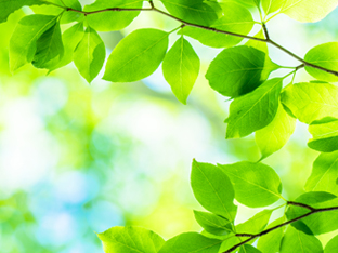 環境への取り組み